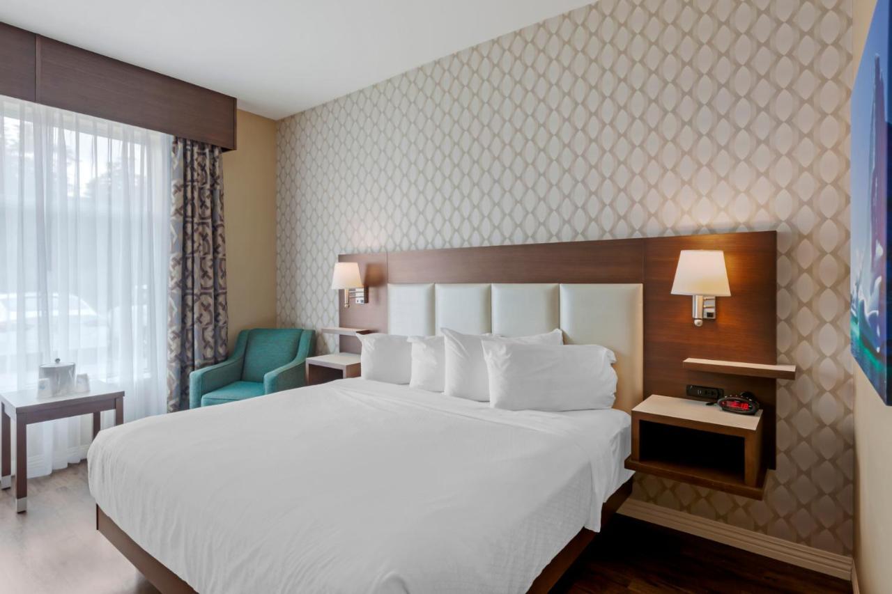 Best Western Plus St. John'S Airport Hotel And Suites Ngoại thất bức ảnh